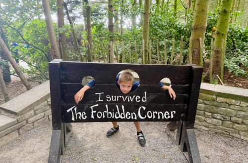 Forbidden corner stock